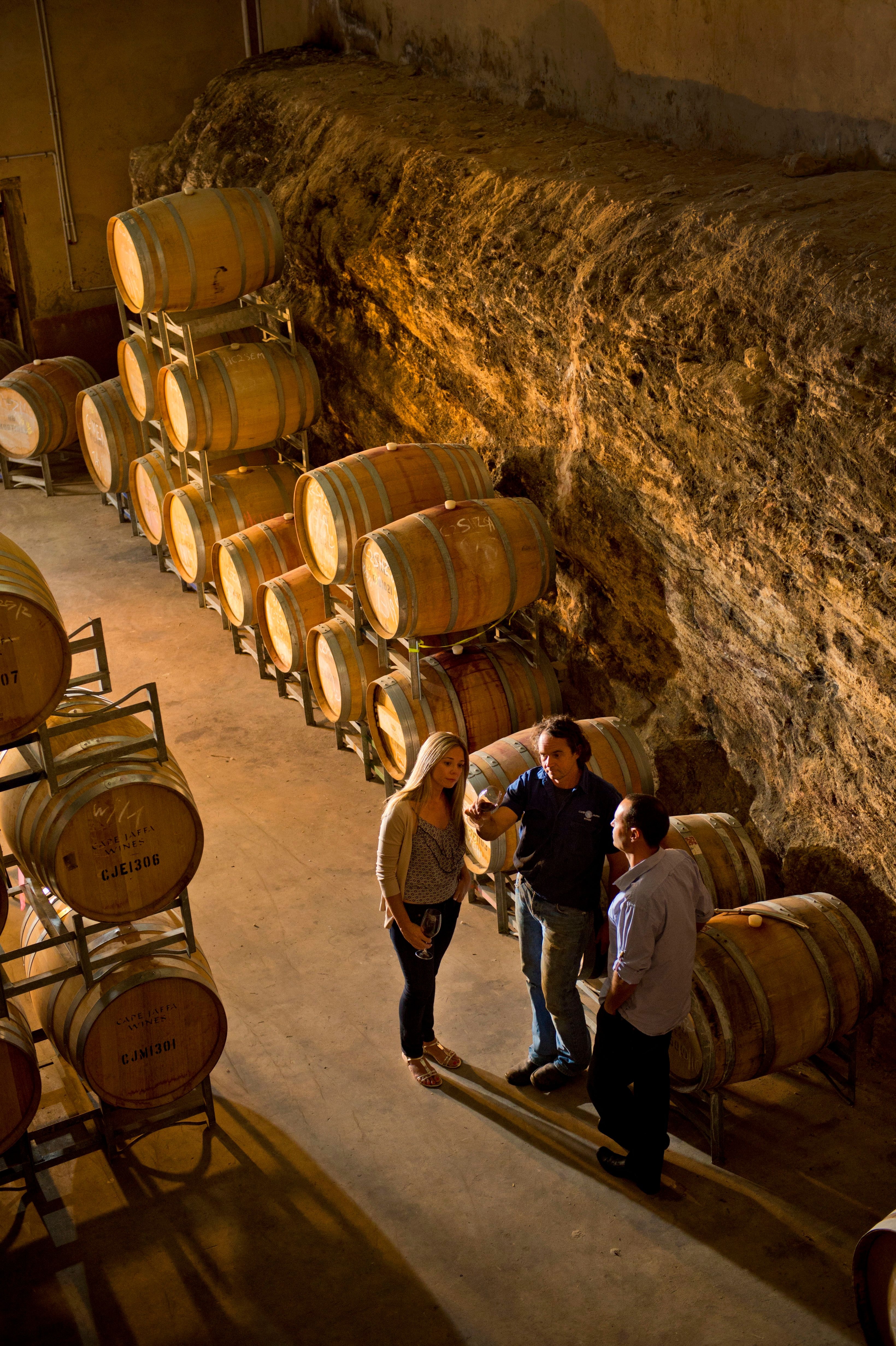 Wine, wildlife, and culture