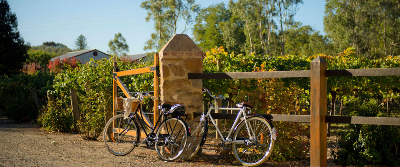 Riesling Trail, Clare Valley
