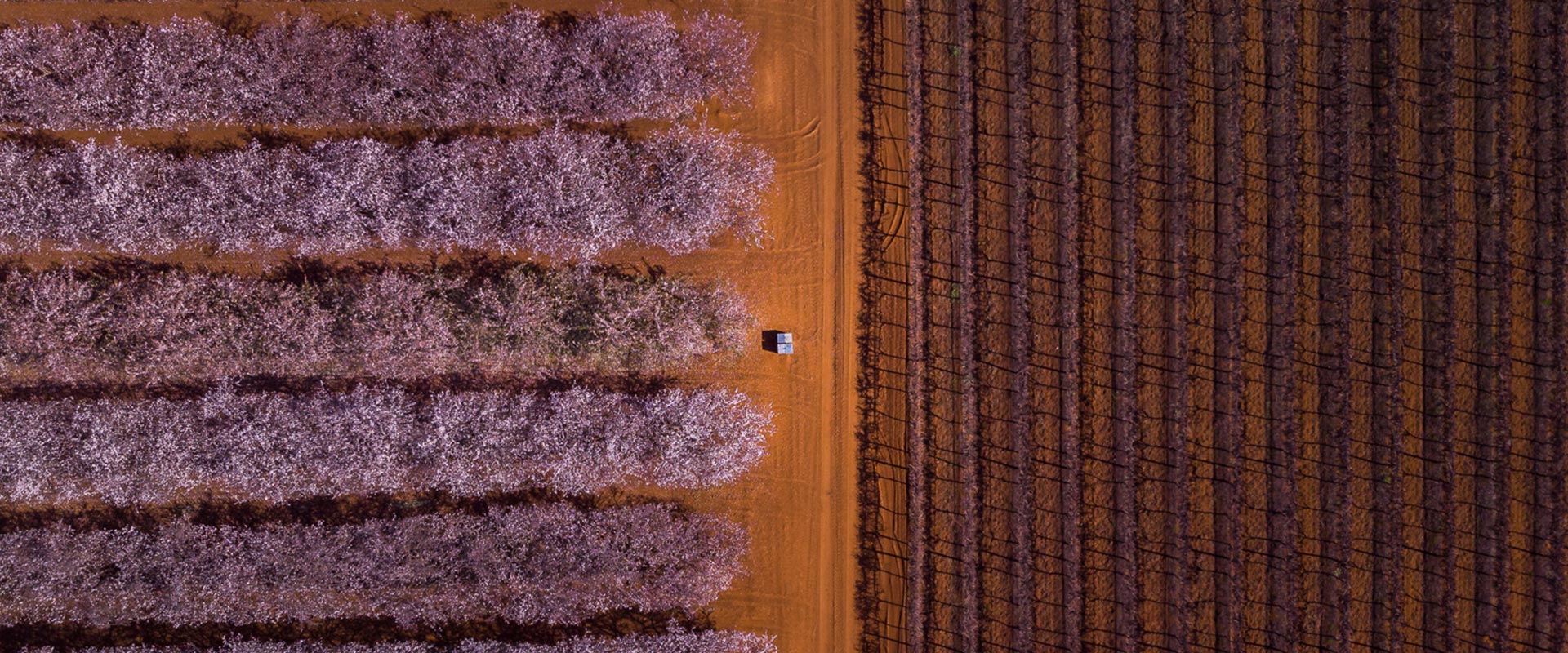 Destinations In the Riverland SA Tourism South Australia