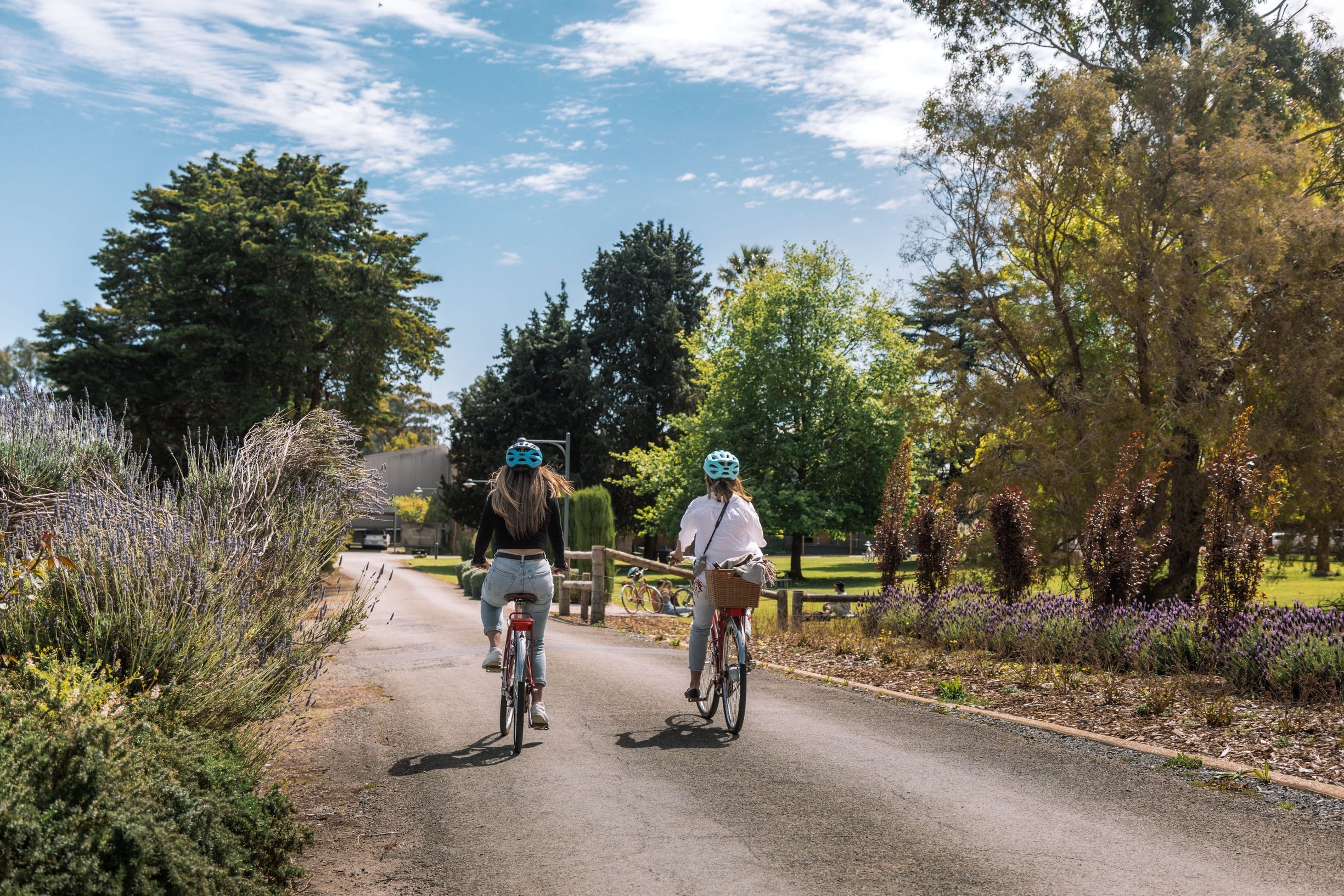 Sports and recreation in the Clare Valley