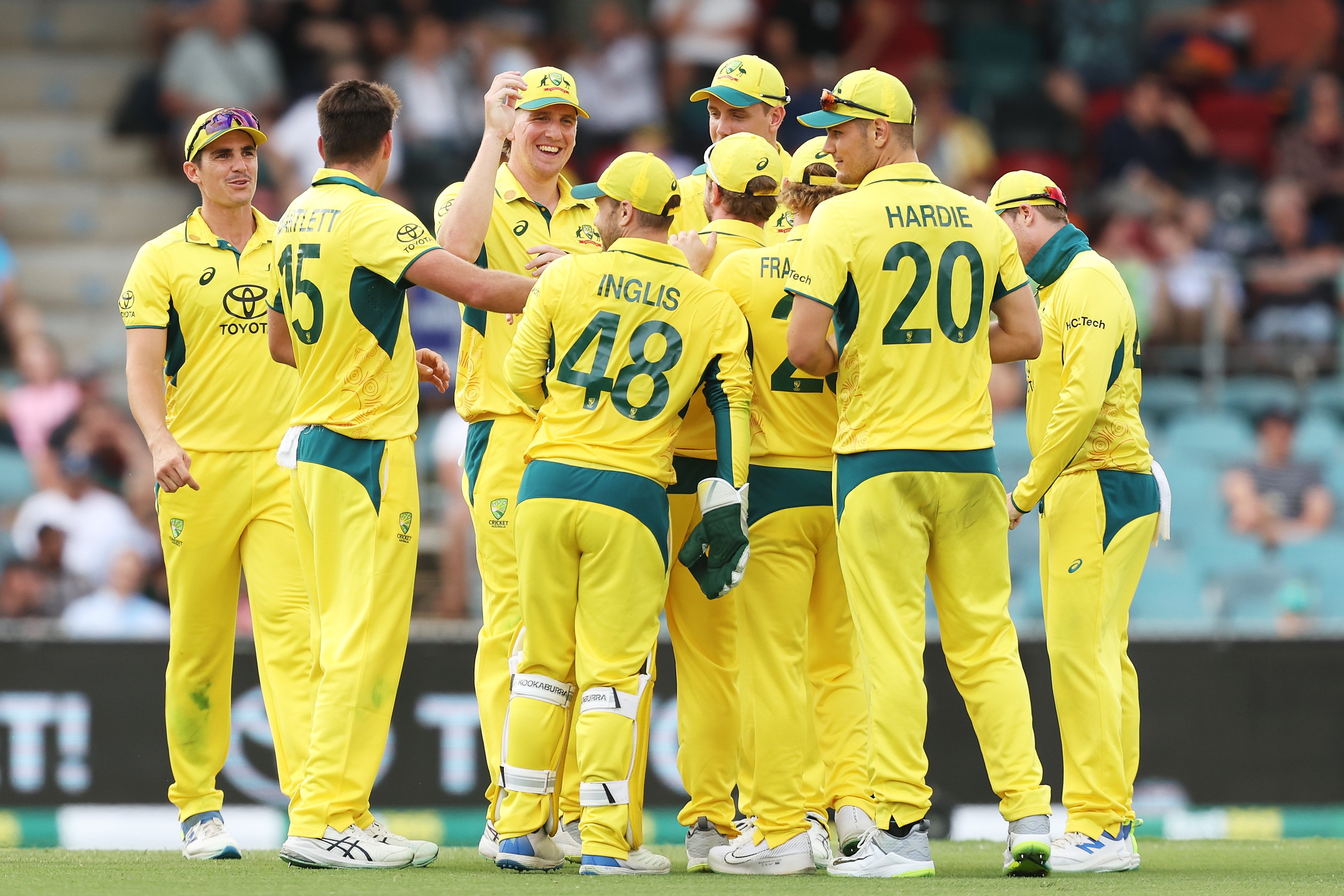 male cricket players celebrating their win on cricket stadium ground