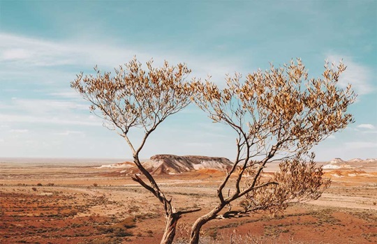 Digital Detox Destinations