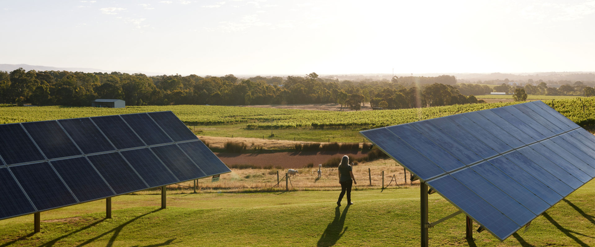 Storiesofthesouth Gemtreewines Header 1920X800