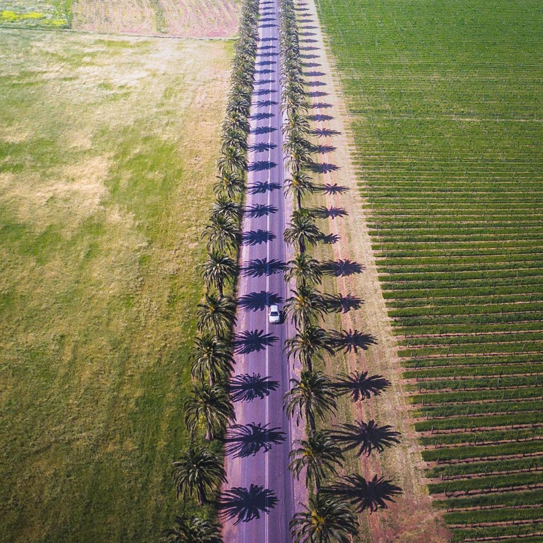Seppeltsfield Road, Barossa by @safromabove