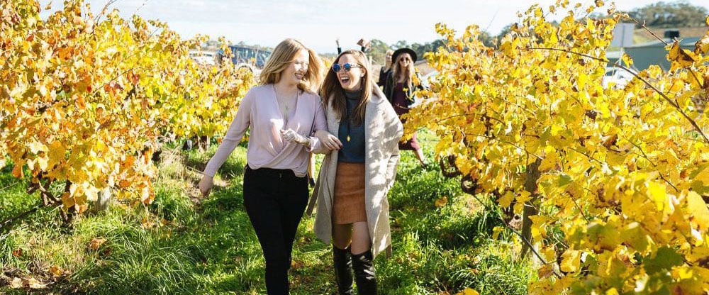 McLaren Vale Sea and Vines Festival