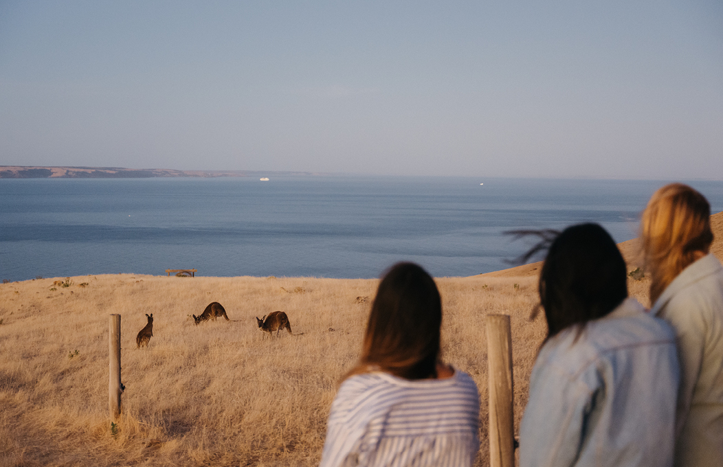 Working holiday makers in Rapid Bay, Fleurieu Peninsula